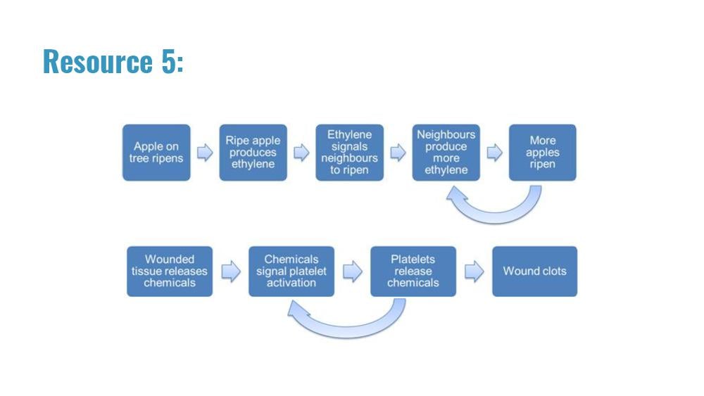Teaching Material for Class 10 Biology – NCERT CBSE Handbook for Teachers