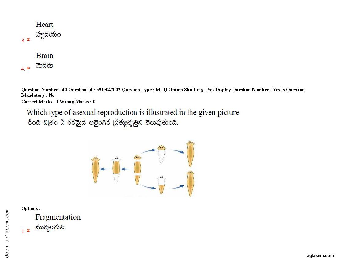 TS EdCET 2021 Question Paper PDF (24-25 Aug, 3 Shift Papers)