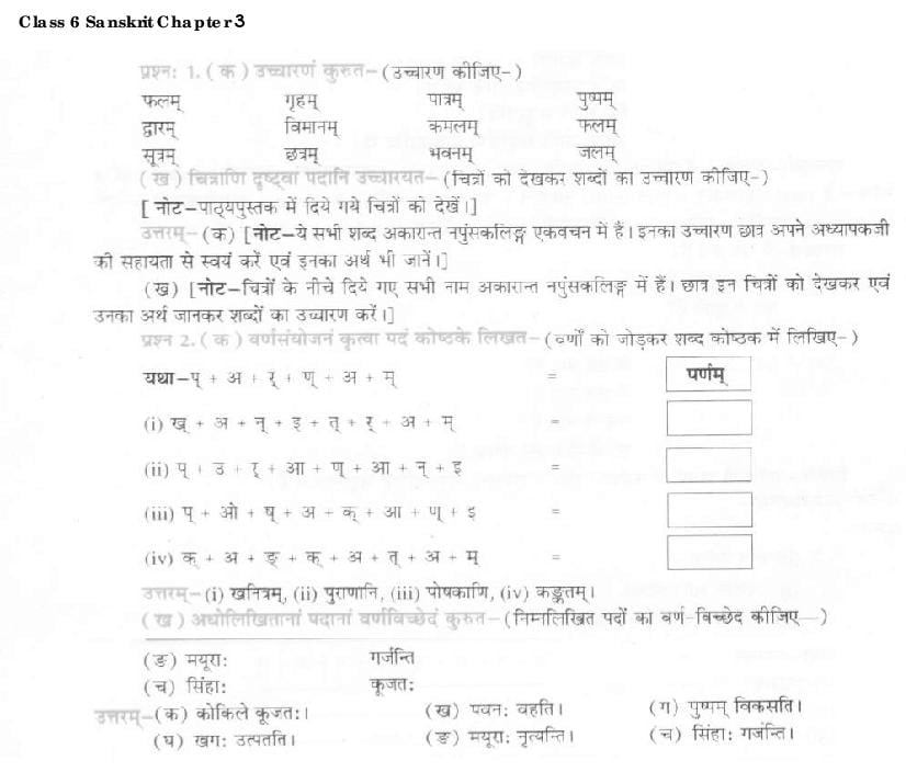 NCERT Solutions Class 6 Sanskrit Chapter 3 शब्द परिचयः 3 - Page 1