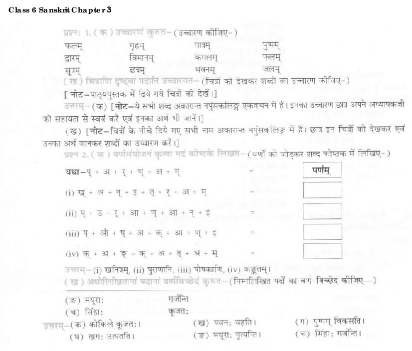 NCERT Solutions For Class 6 Sanskrit Chapter 3 III PDF 