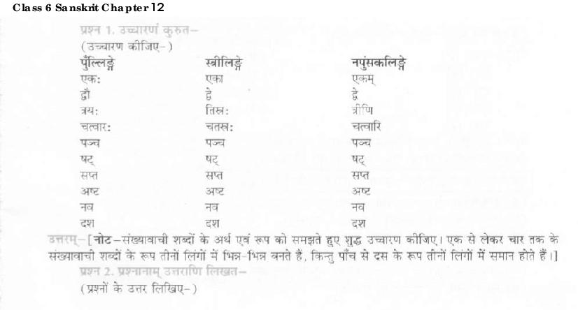 NCERT Solutions Class 6 Sanskrit Chapter 12 दशमः त्वम असि - Page 1