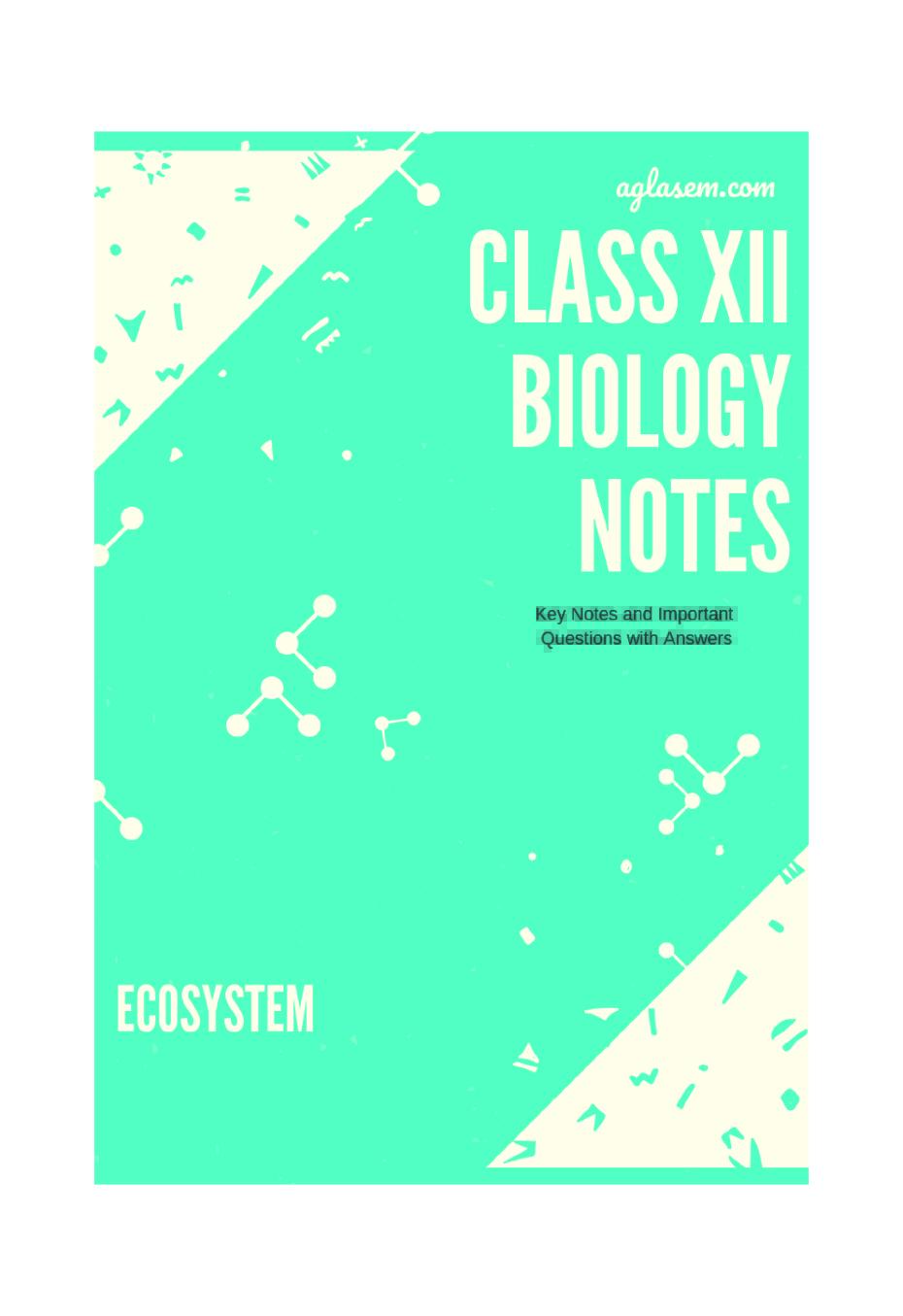 Class 12 Biology Notes for Ecosystem - Page 1