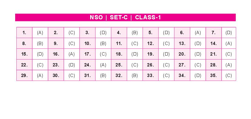 sof-nso-set-c-2023-answer-key-for-class-1