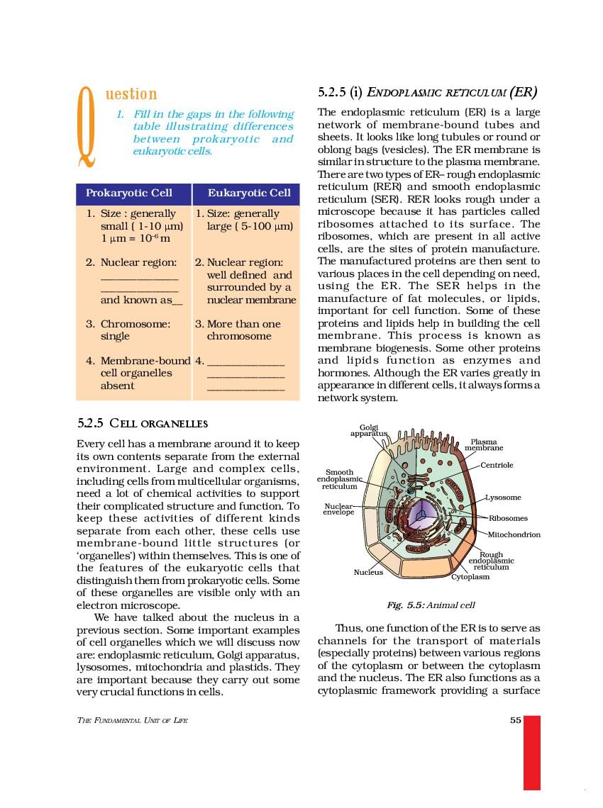 NCERT Book Class 9 Science Chapter 5 The fundamental (PDF)