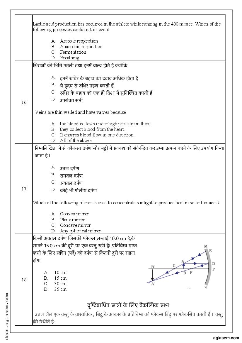 science term paper