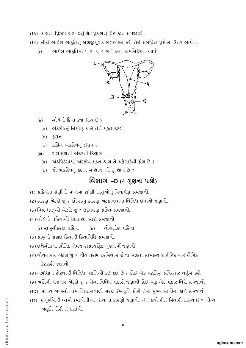 2023 board paper class 10 gseb