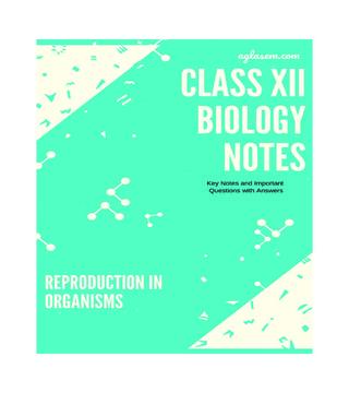 Class 12 Biology Notes for Reproduction in Organisms - Download PDF ...