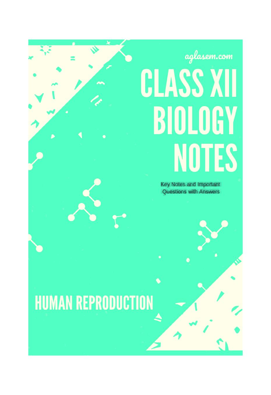 Class 12 Biology Notes for Human Reproduction - Page 1