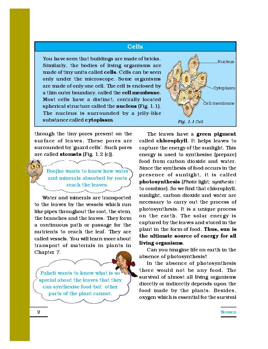 Class 7 Science Chapter 1 Key Words