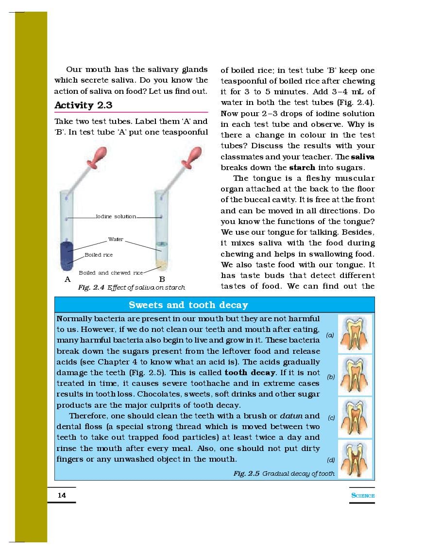 NCERT Book Class 7 Science Chapter 2 Nutrition in Animals