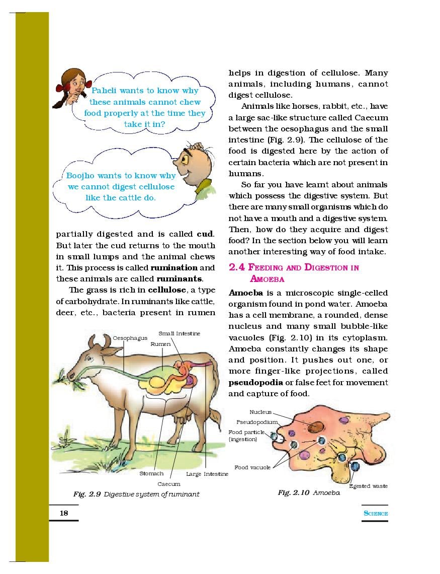 NCERT Book Class 7 Science Chapter 2 Nutrition in Animals