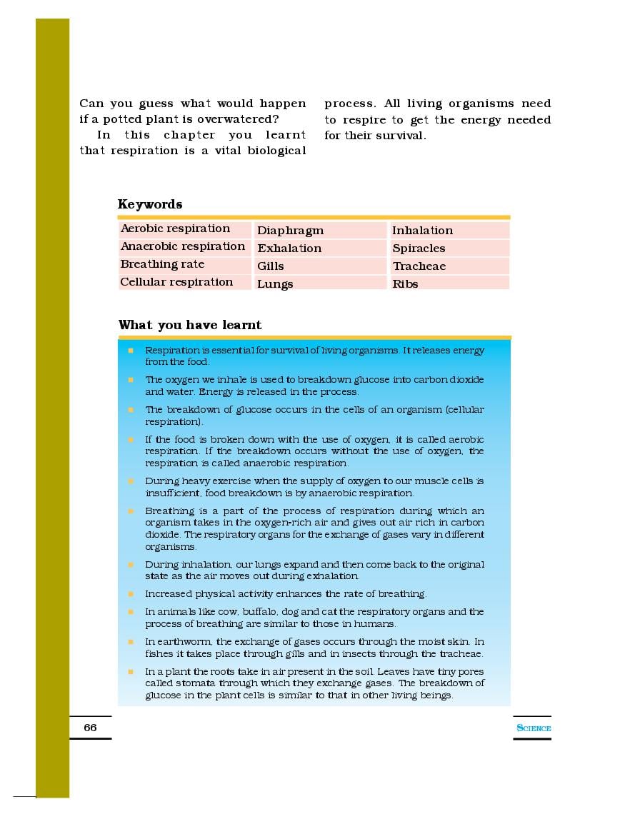 Notes Of Chapter 6 Class 7 Science