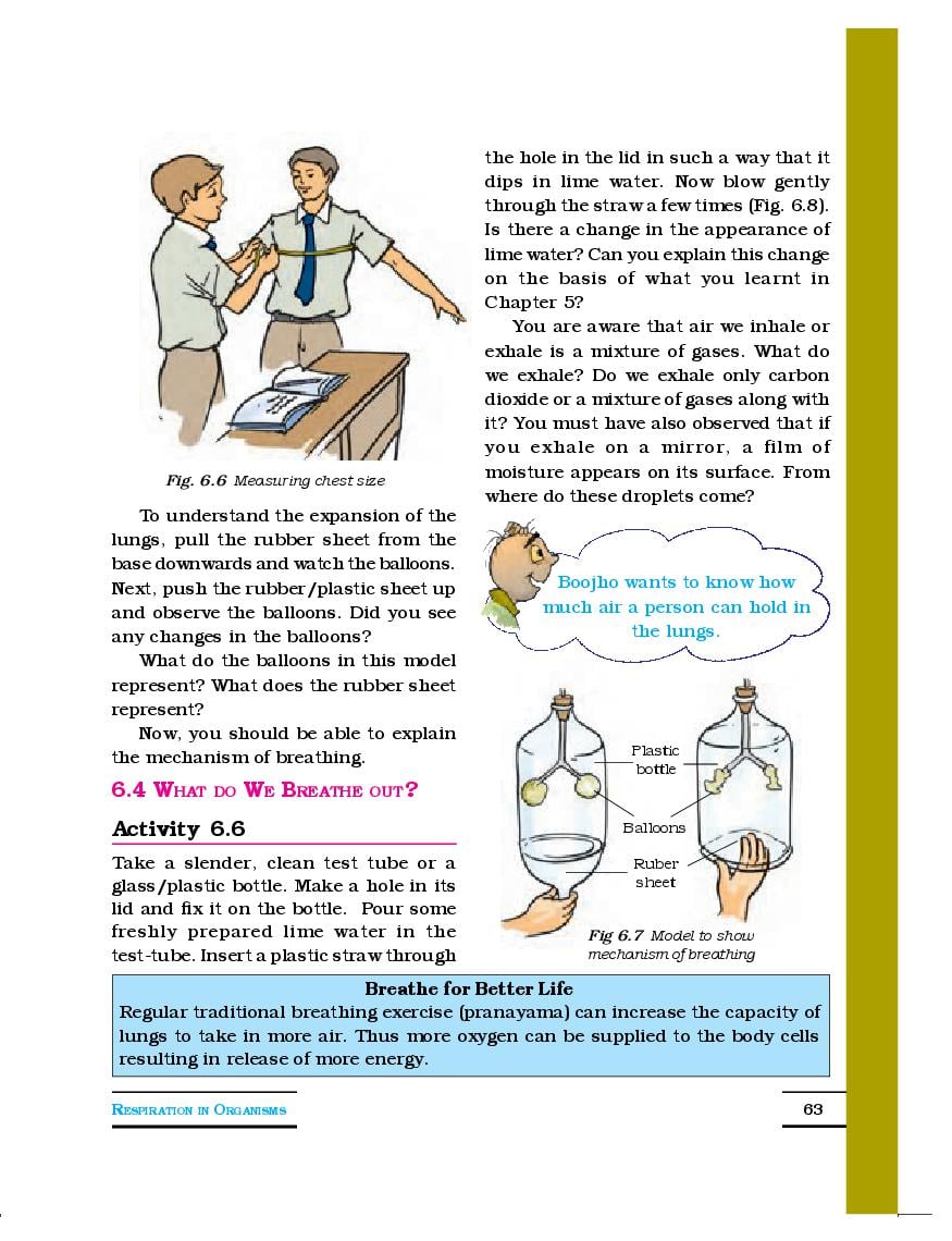 NCERT Book Class 7 Science Chapter 6 Respiration in Organisms (PDF)