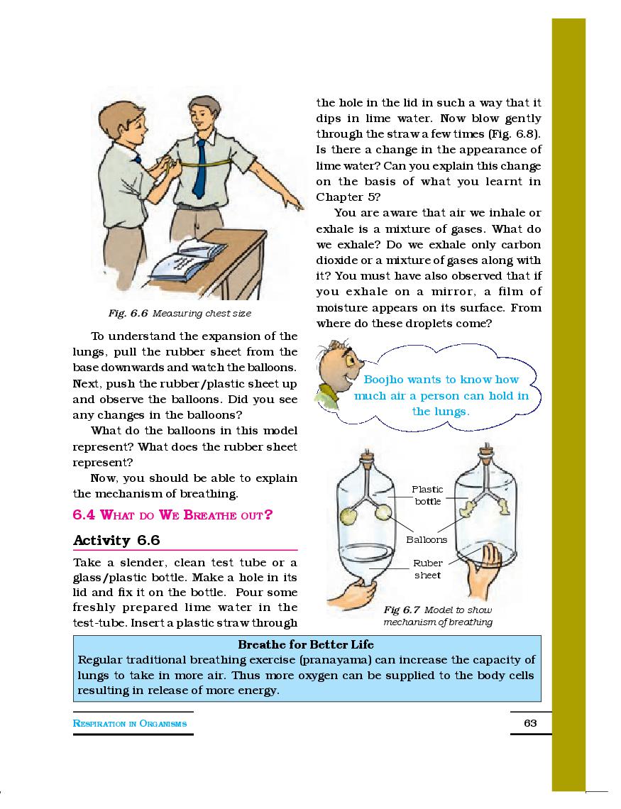 NCERT Book Class 7 Science Chapter 6 Respiration In Organisms PDF 