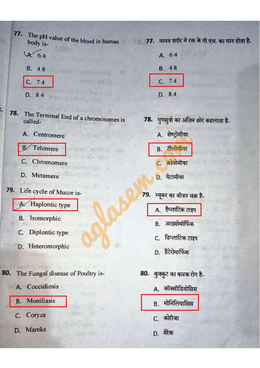 CG B.Sc Nursing 2023 Answer Key (PDF Available) - Set A, B, C, D ...