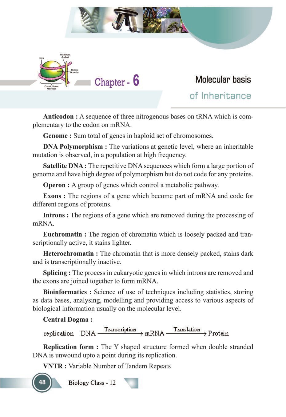 Class 12 Biology Notes For Molecular Basis Of Inheritance (PDF) - Study ...