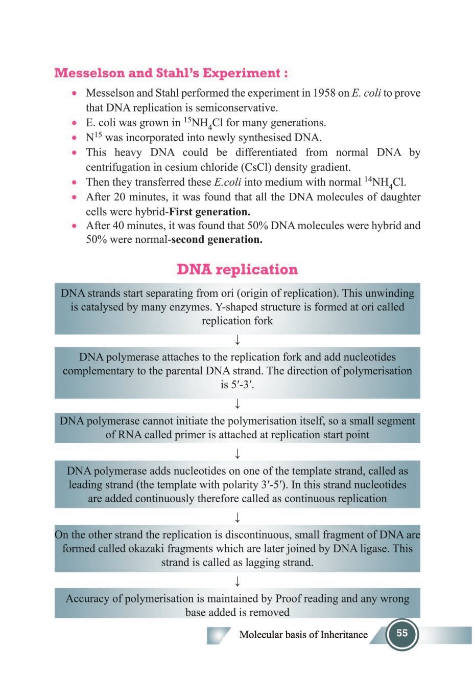 class-12-biology-notes-for-molecular-basis-of-inheritance