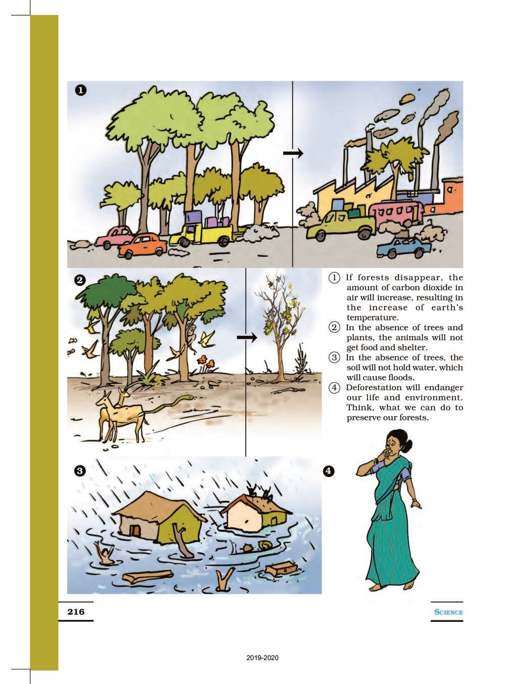 ncert-book-class-7-science-chapter-17-forests-our-lifeline