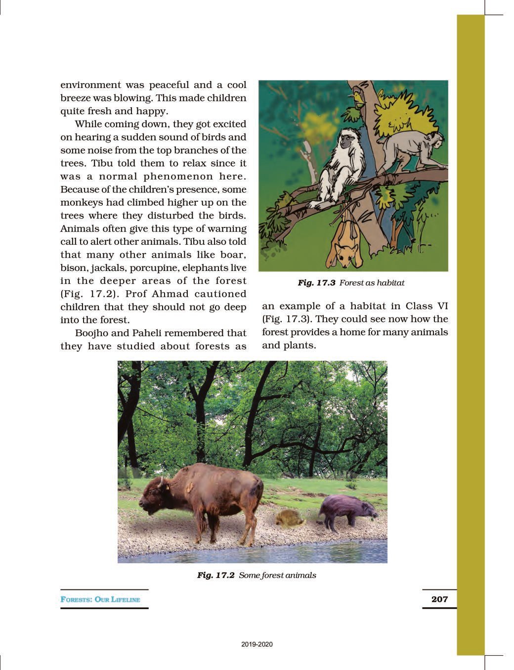 NCERT Book Class 7 Science Chapter 17 Forests Our Lifeline