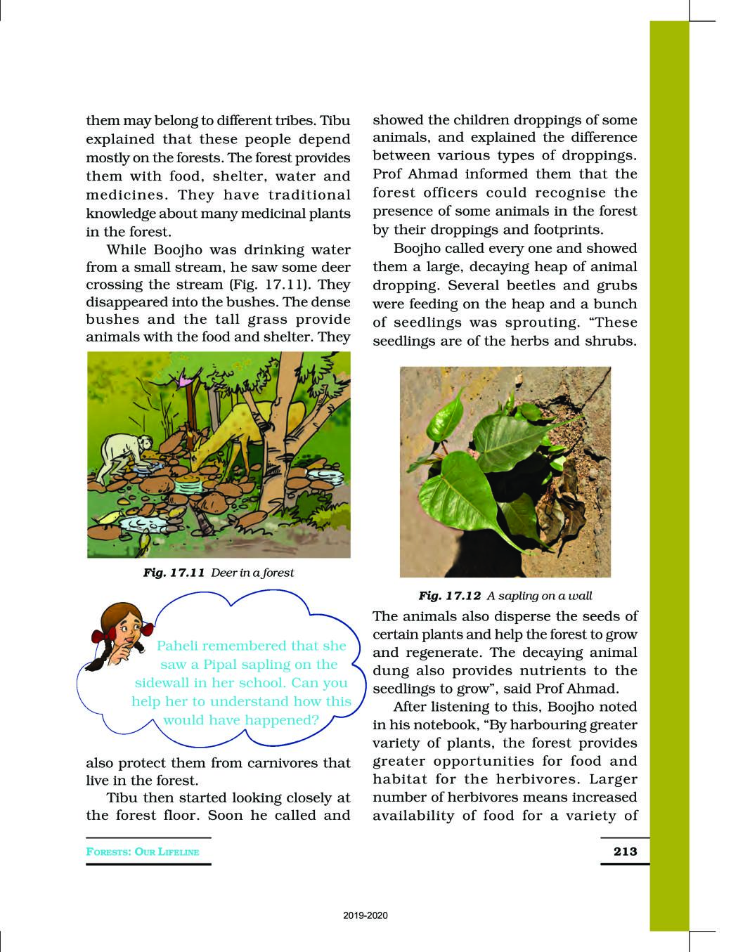 NCERT Book Class 7 Science Chapter 17 Forests Our Lifeline