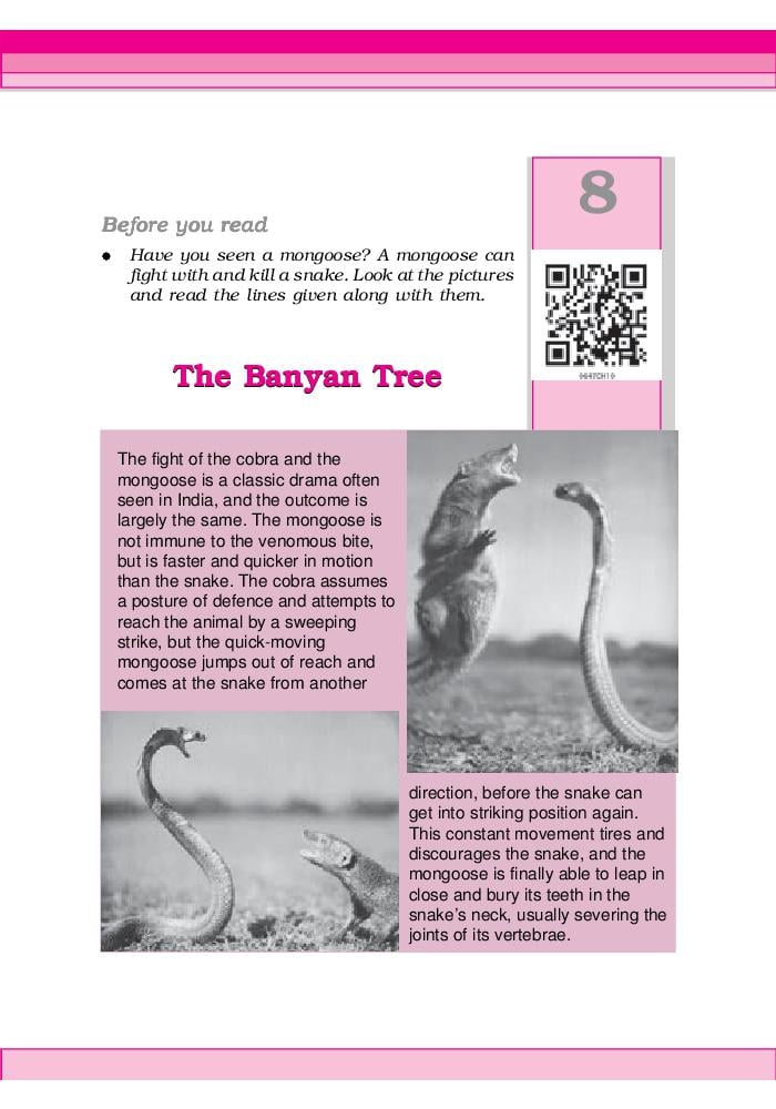 NCERT Book Class 6 English (Honeysuckle) Chapter 8 The Banyan Tree - Page 1