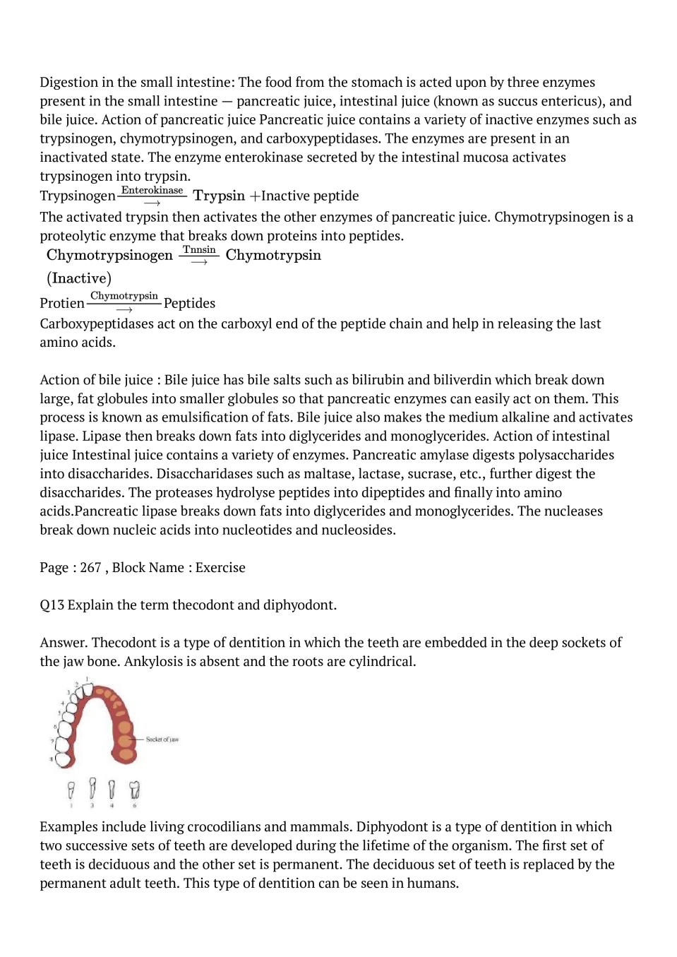 fermentation class 11 ncert