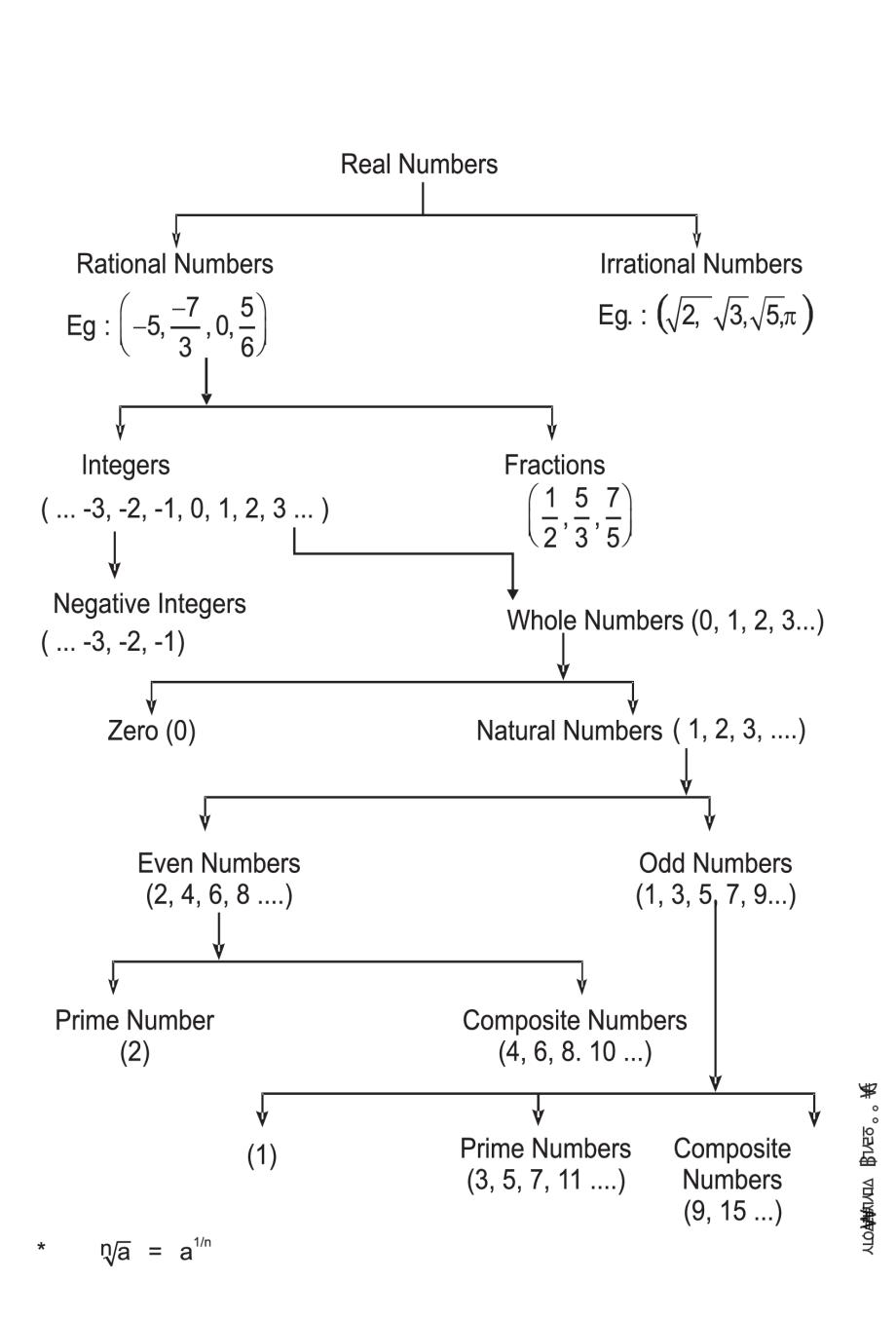 Number System Class 9 Worksheet