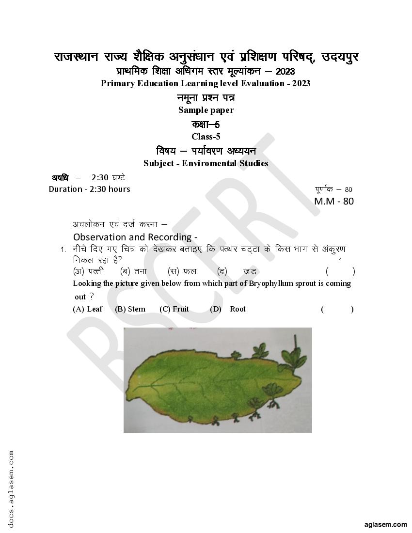 RBSE 5th Environmental Studies (EVS) Model Paper 2025 (PDF) Download