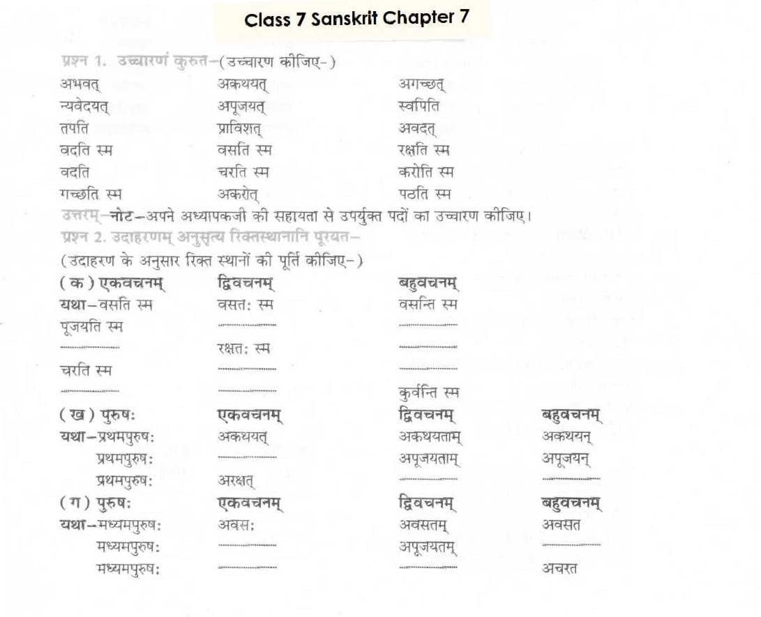 NCERT Solutions Class 7 Sanskrit Chapter 7 सड.कल्पः सिद्धिदायकः - Page 1