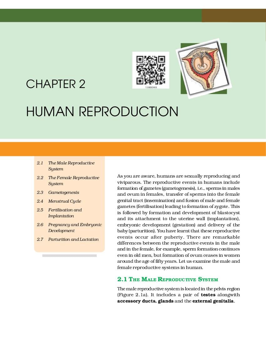 NCERT Book Class 12 Biology Chapter 2 Human Reproduction - Page 1