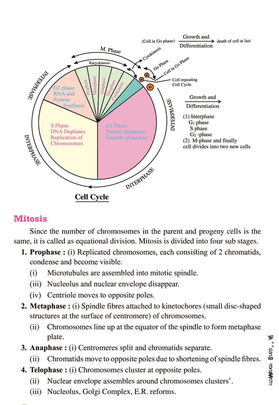 case study based questions of class 11 biology