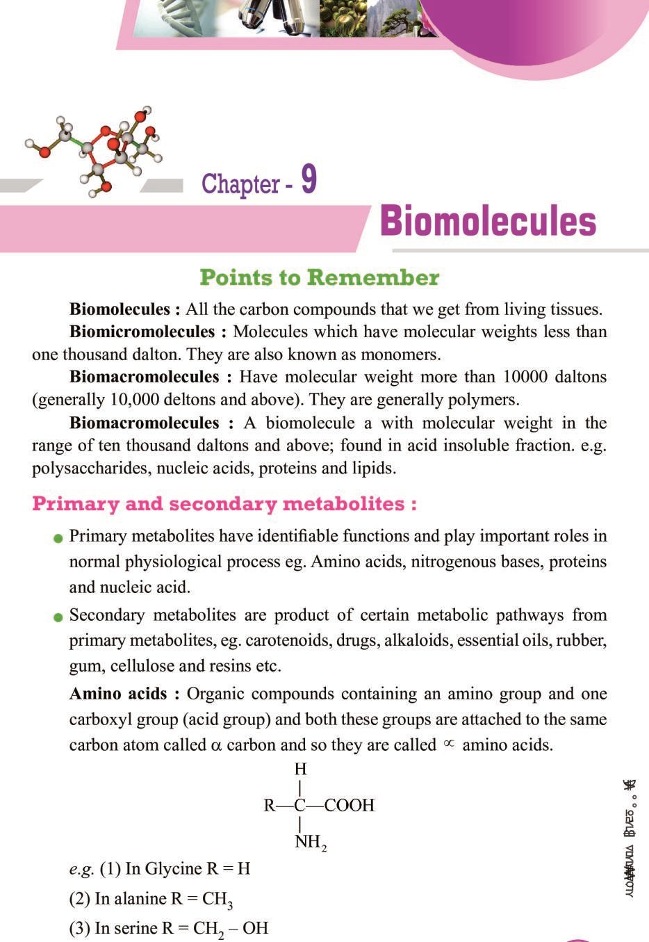 What Are Biomolecules Class 12 Notes