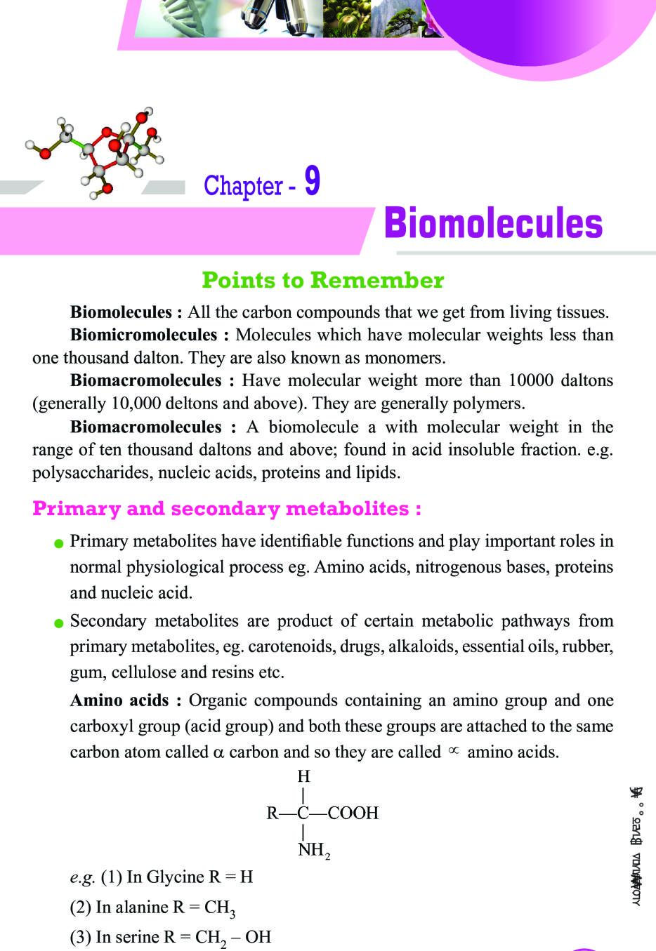 Biomolecules Notes For Class 11 Biology PDF OneEdu24