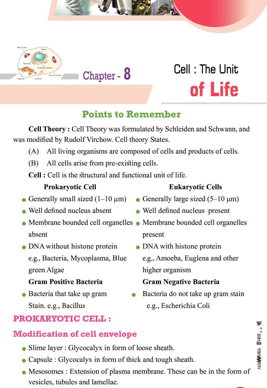 class-11-biology-notes-for-cell-the-unit-of-life