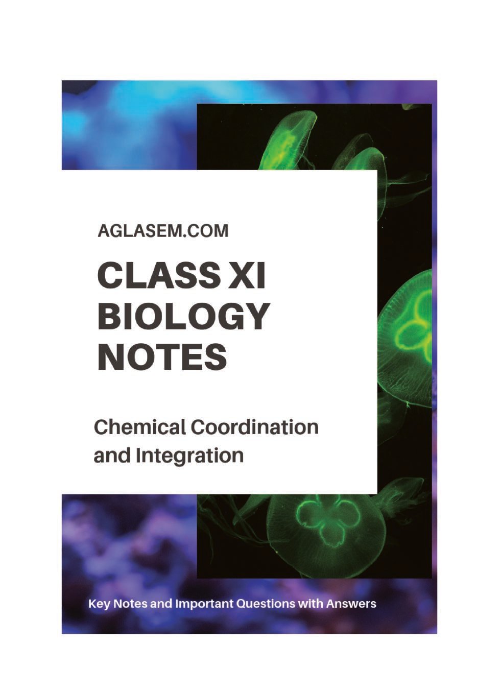 Class 11 Biology Notes for Chemical Coordination and Integration - Page 1