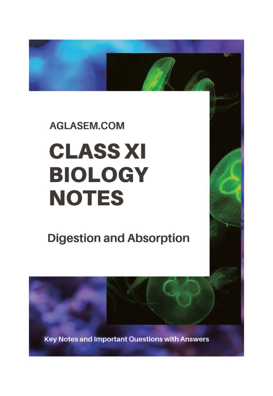 Class 11 Biology Notes for Digestion and Absorption - Page 1