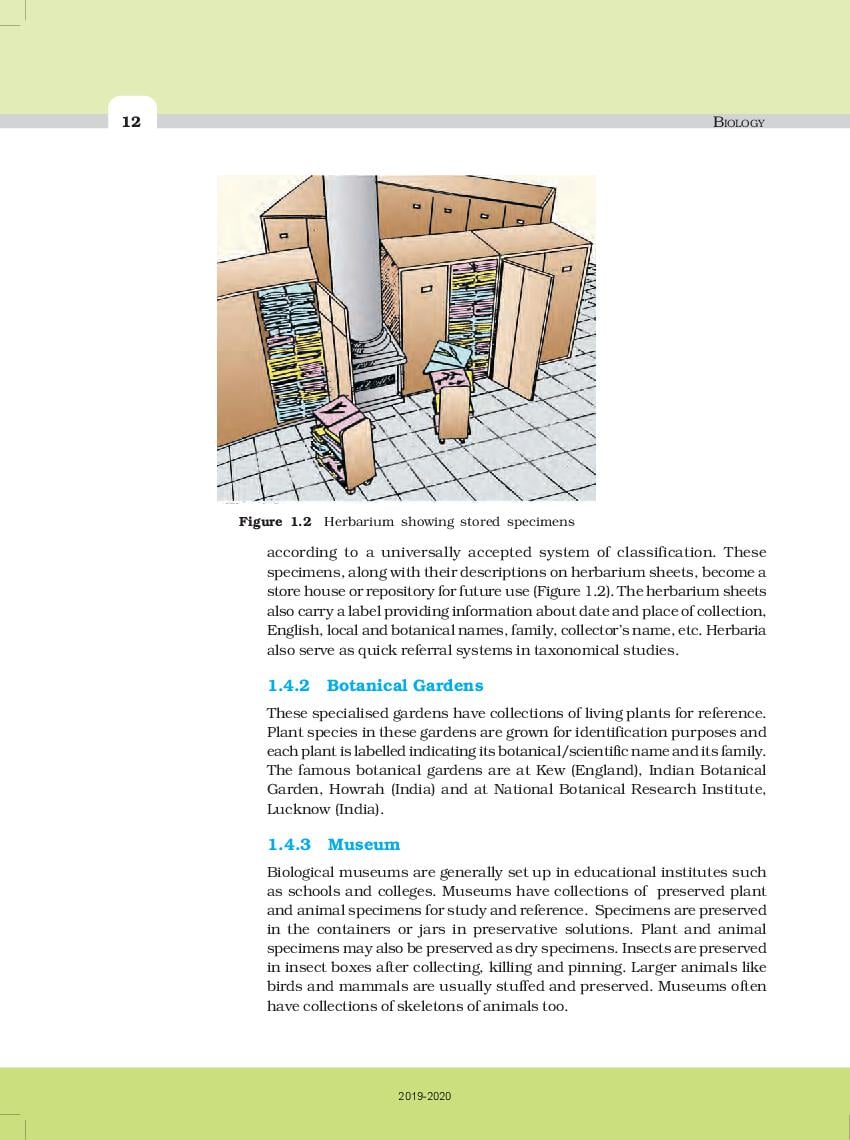 up-board-book-class-11-biology-chapter-1-the-living-world