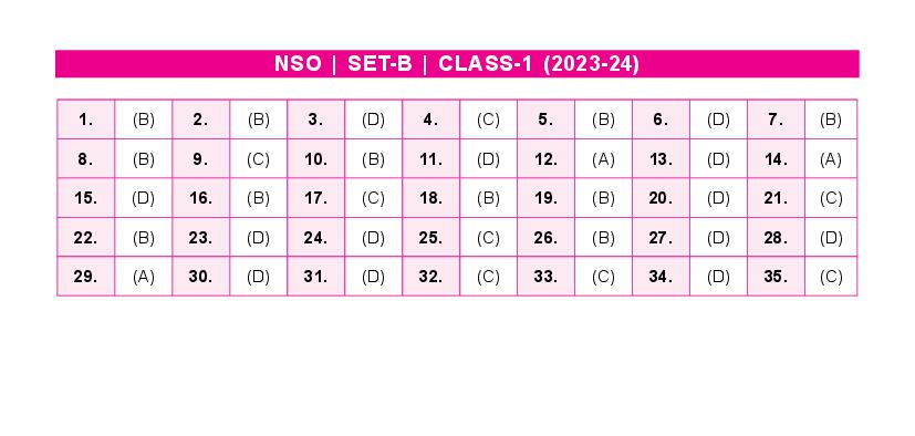 SOF NSO 2024 Answer Key Set-B Class 1 - Page 1