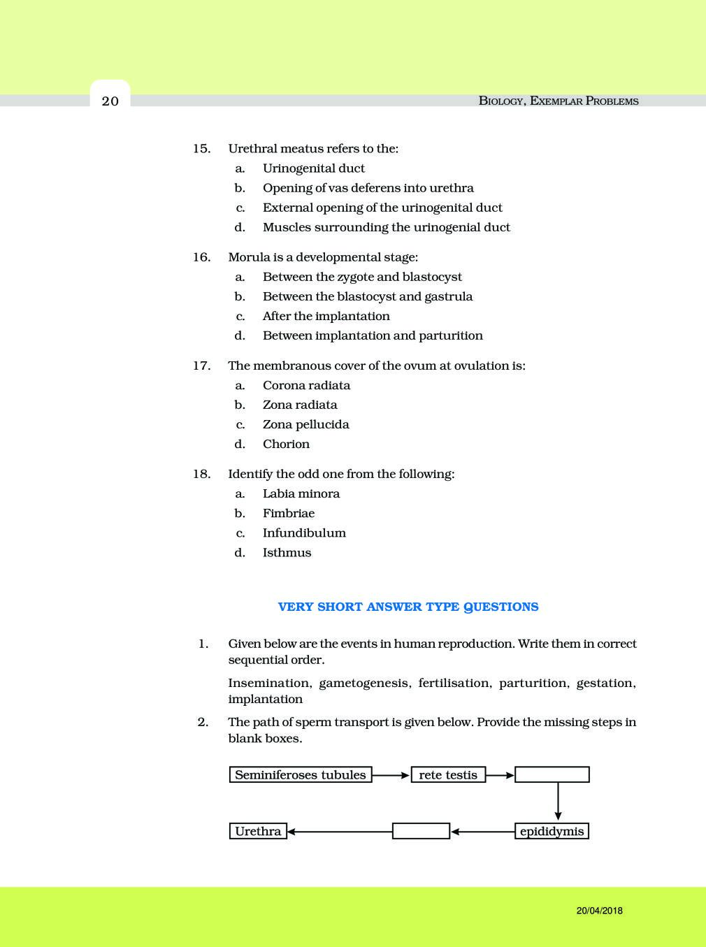 NCERT Exemplar Class 12 Biology Chapter 3 Human Reproduction