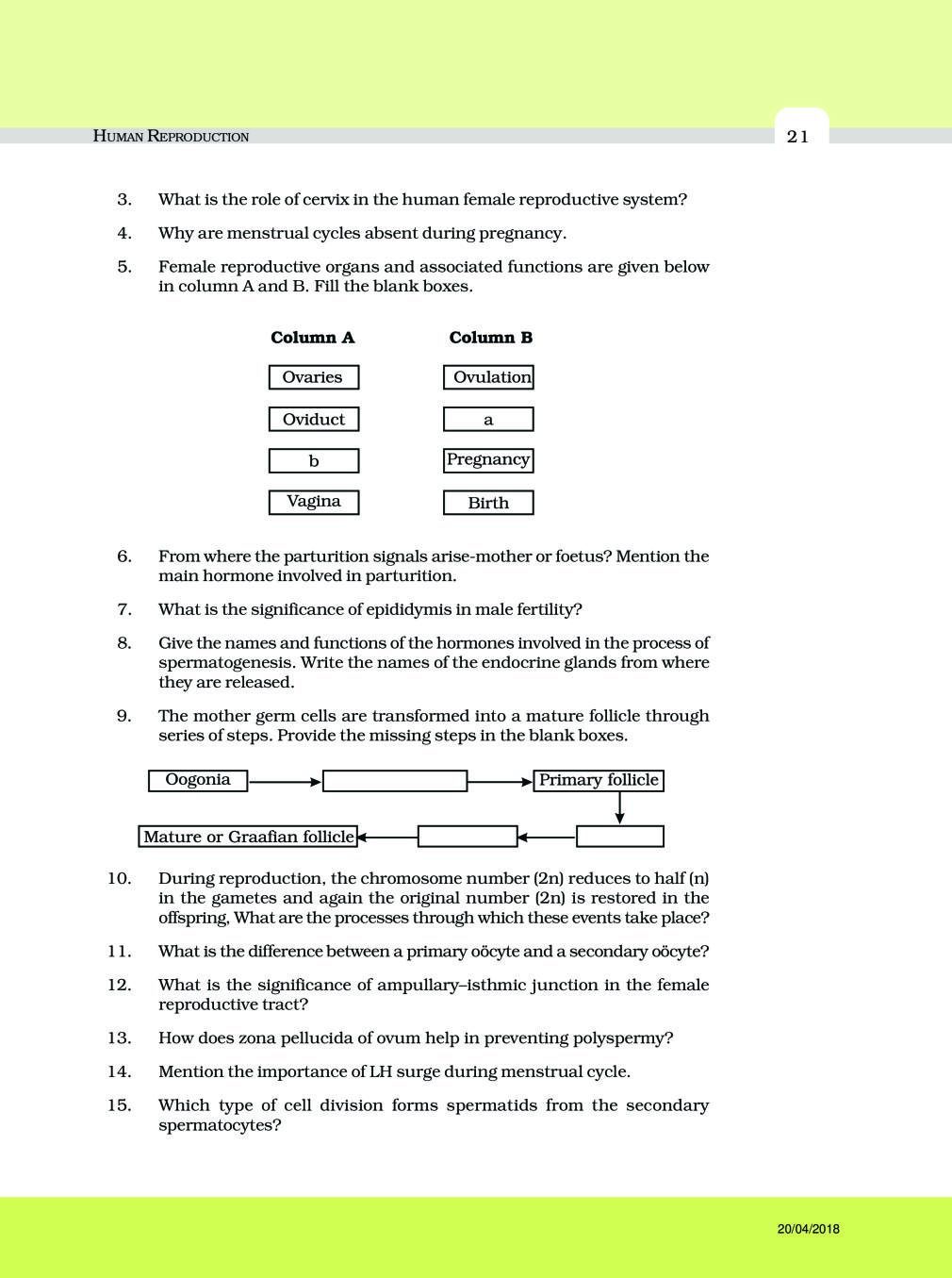 NCERT Exemplar Class 12 Biology Chapter 3 Human Reproduction