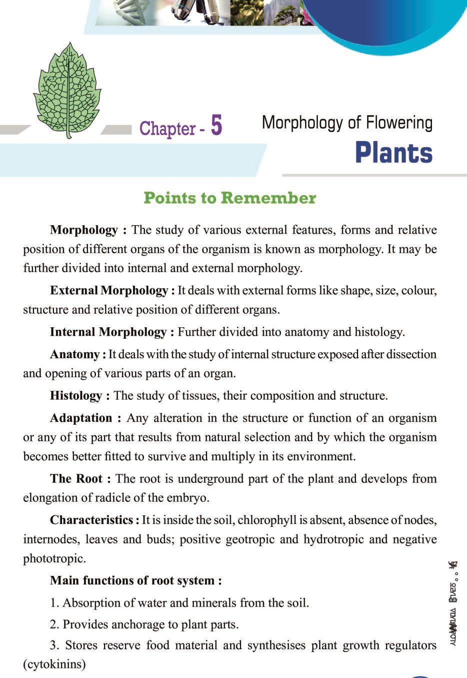 Cbse Notes Class 11 Biology Morphology Of Flowering Plants Aglasem Schools 