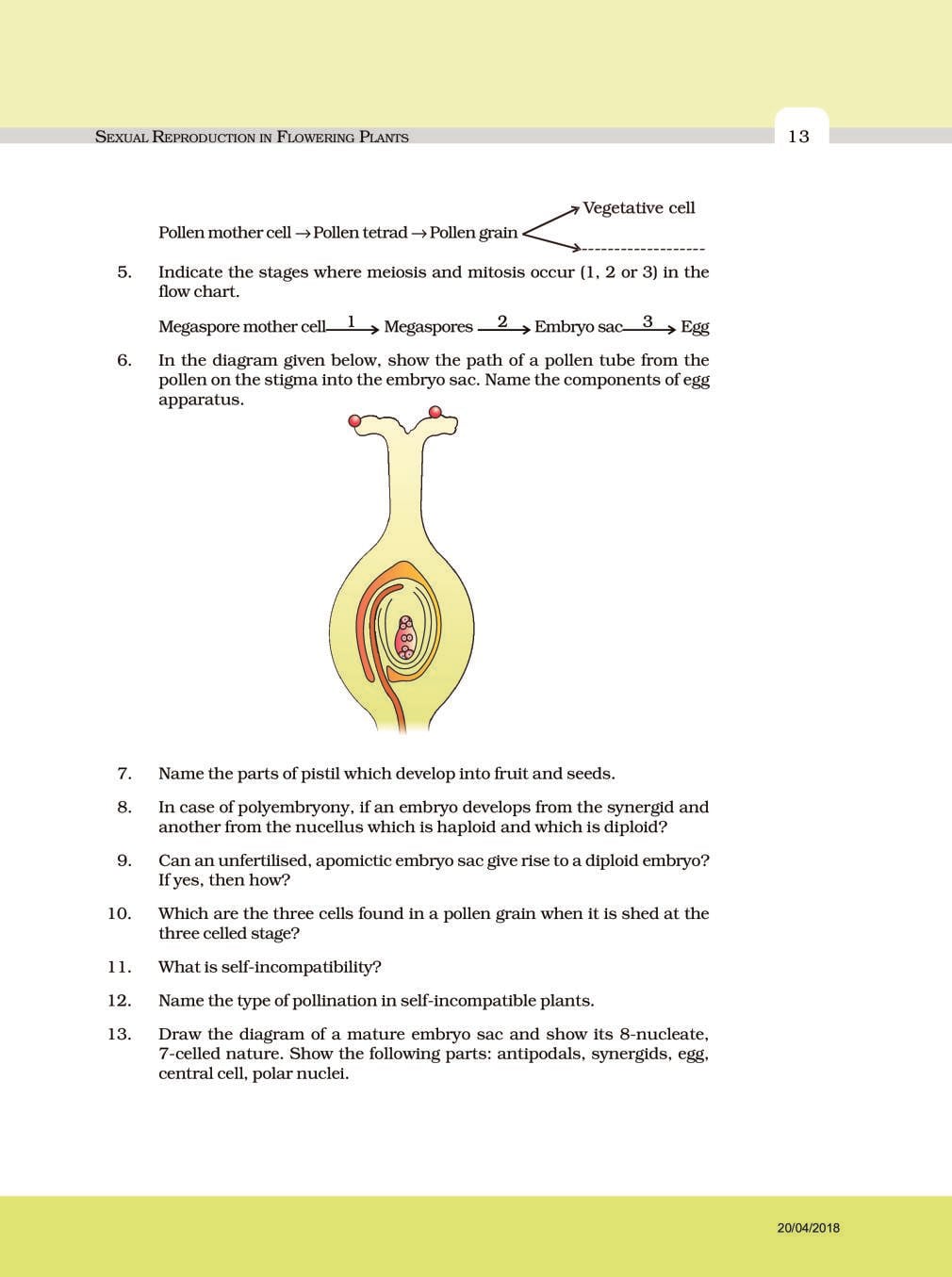 NCERT Exemplar Class 12 Biology Chapter 2 Sexual Reproduction in Flowering Plants