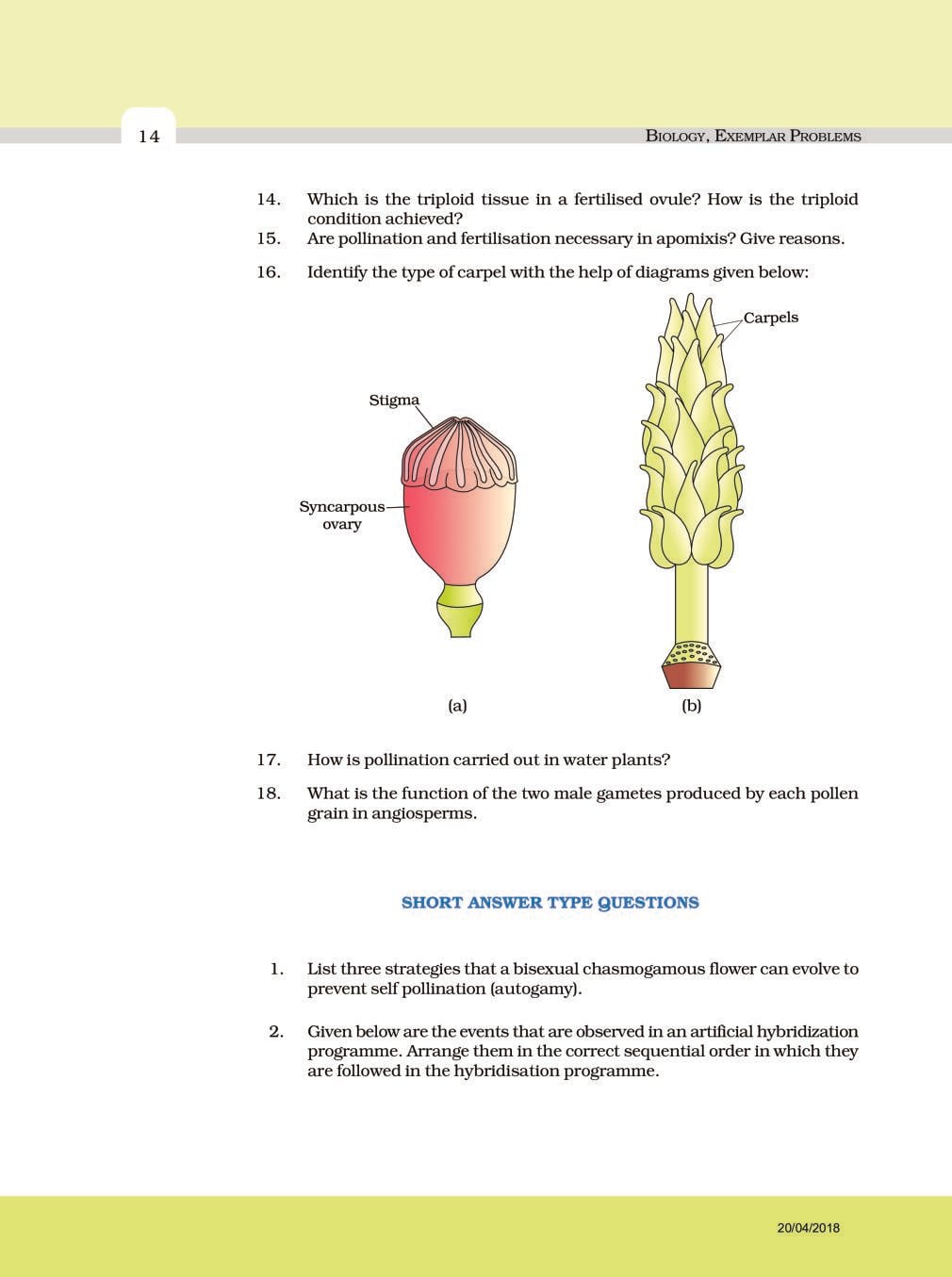NCERT Exemplar Class 12 Biology Chapter 2 Sexual Reproduction in Flowering Plants