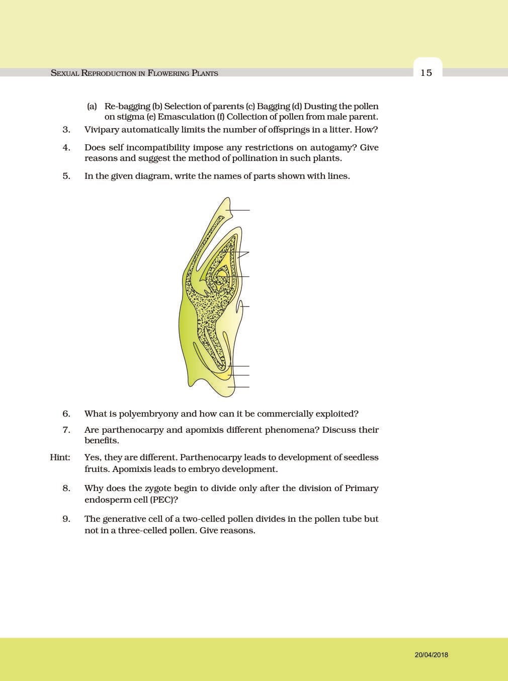 NCERT Exemplar Class 12 Biology Chapter 2 Sexual Reproduction in Flowering Plants