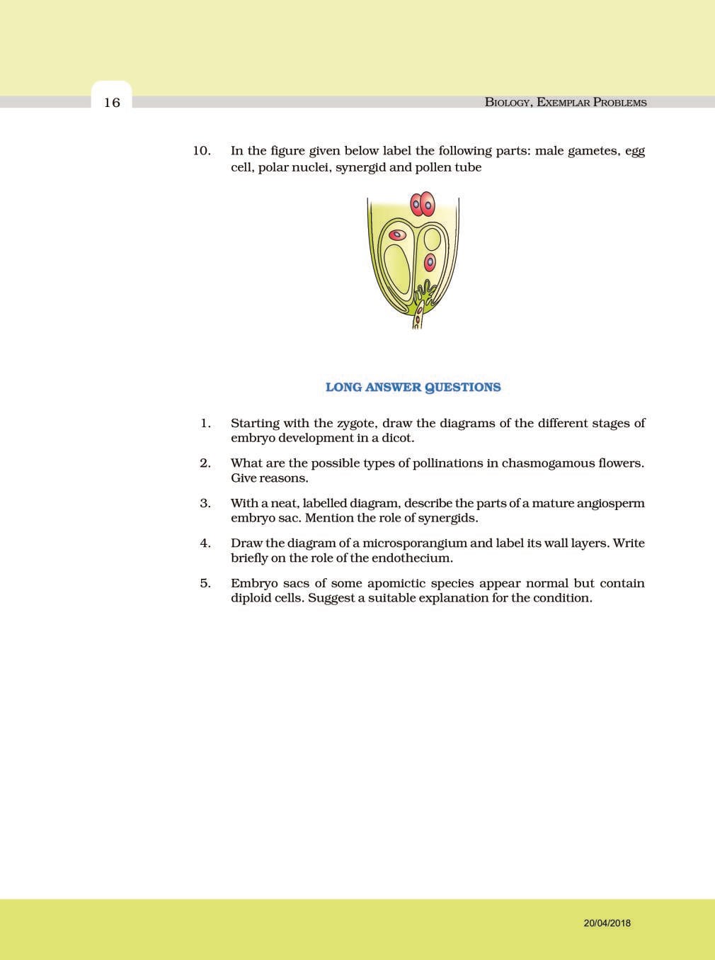 NCERT Exemplar Class 12 Biology Chapter 2 Sexual Reproduction in Flowering Plants