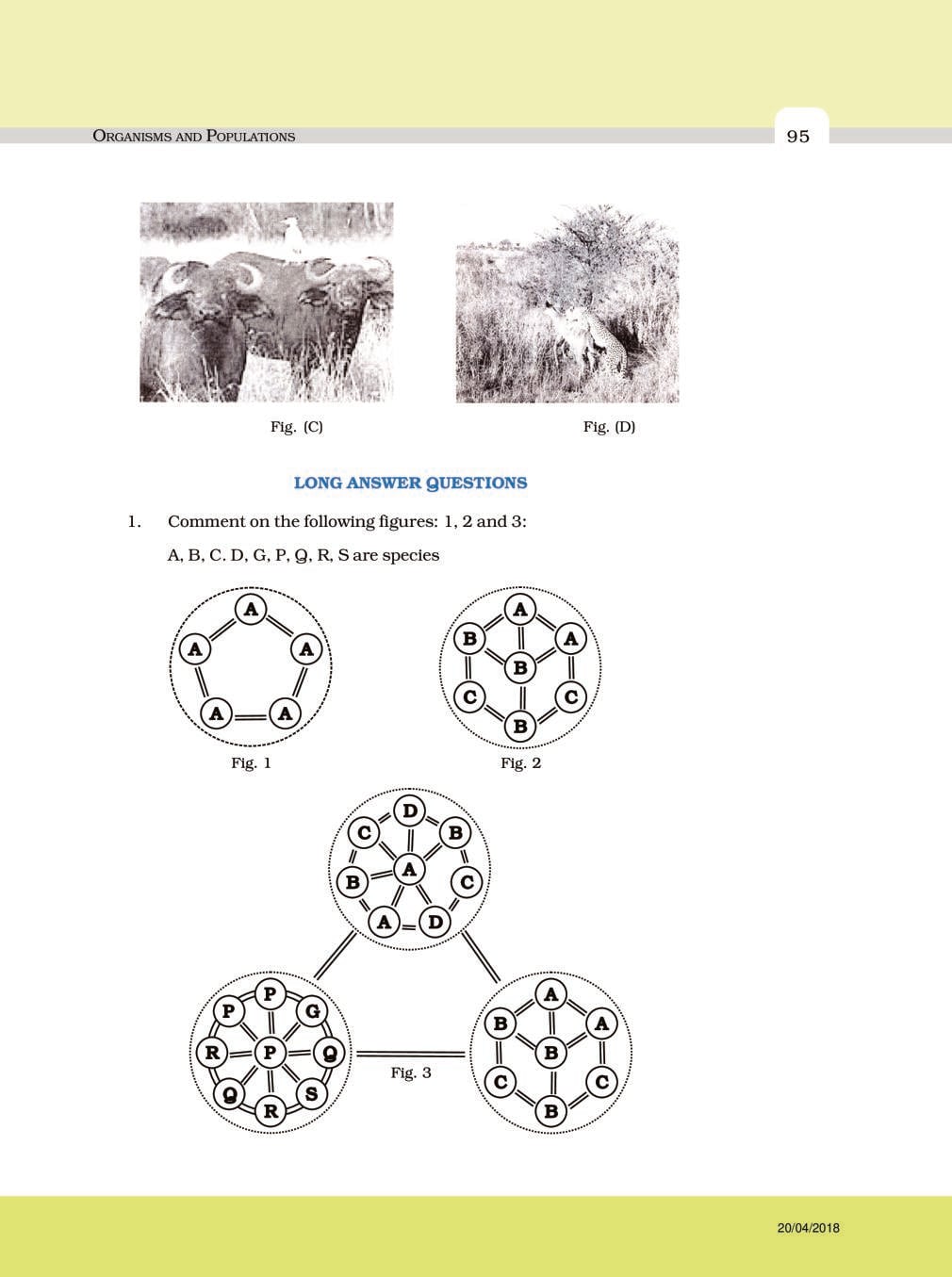 NCERT Exemplar Class 12 Biology Chapter 13 Organisms and Populations