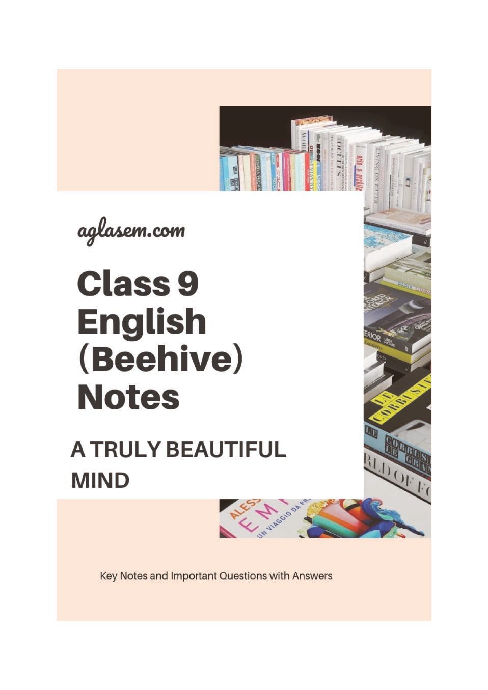 Class 9 English Beehive Notes For A Truly Beautiful Mind - Page 1