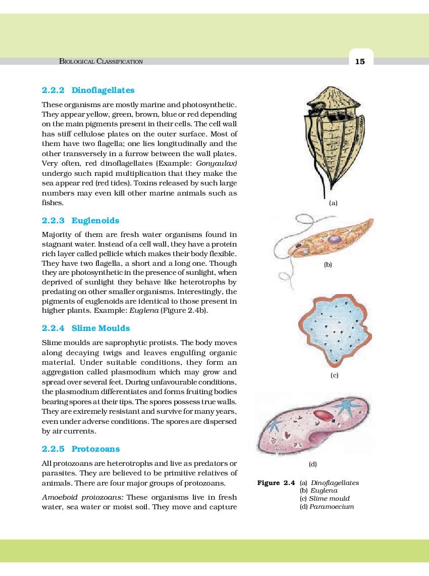 Ncert Book Class 11 Biology Chapter 2 Biological Classification Pdf New 2023 24 Oneedu24 