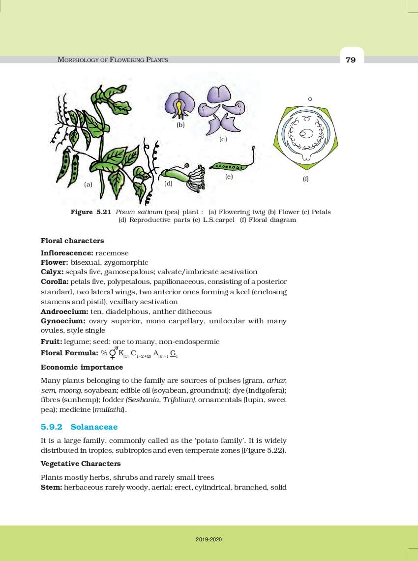 case study based questions class 11 biology chapter 5
