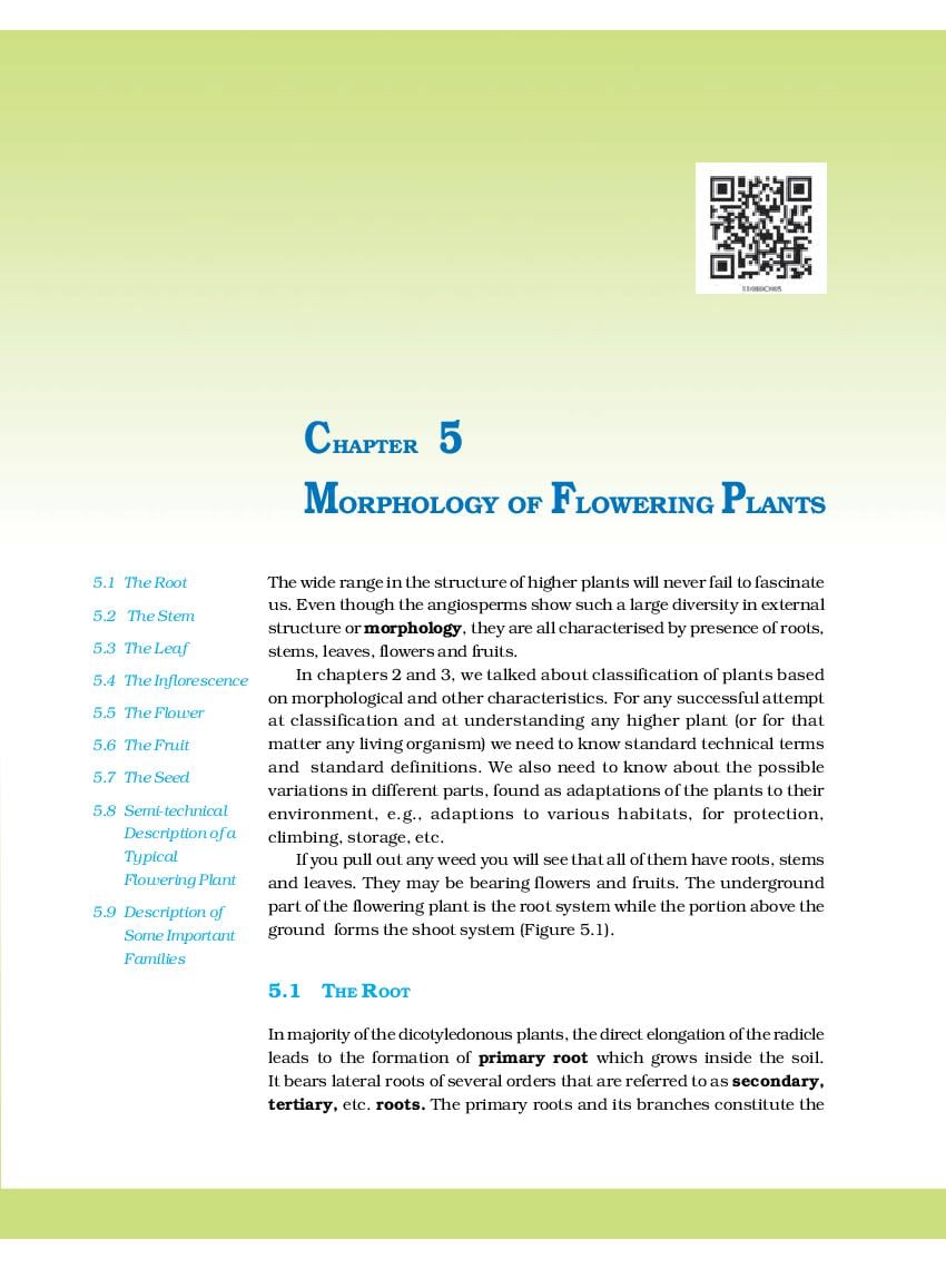 NCERT Book Class 11 Biology Chapter 5 Morphology of Flowering Plants ...